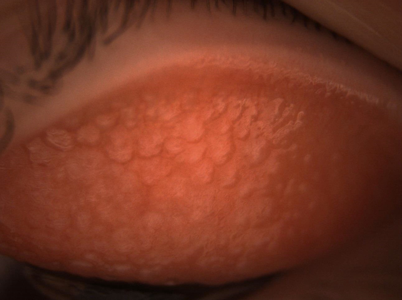 smithmilliep04402482932022 05 26t11 53 05os.jpeg edit 1